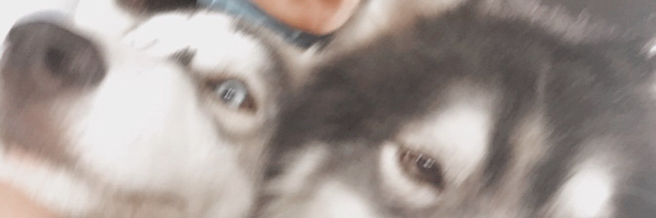 ireneeeeeev's profile banner image