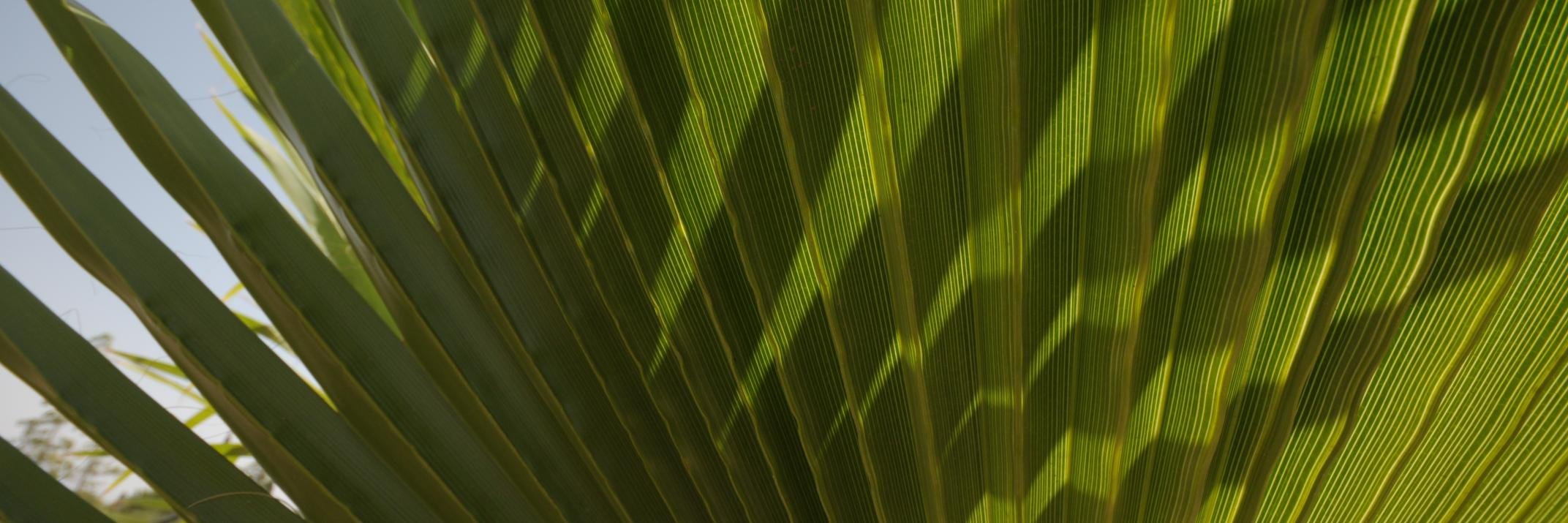luludenham's profile banner image