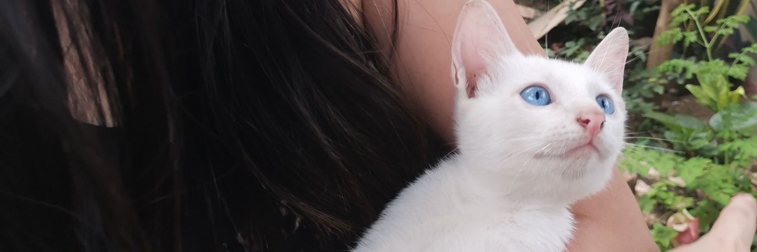 LadyMaxilicious's profile banner image