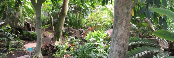 gdelafair Profile Banner