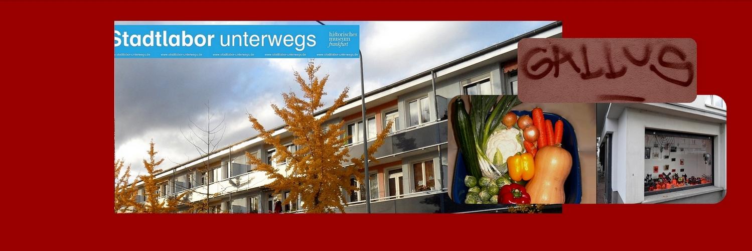 Gallus Dippegucker banner