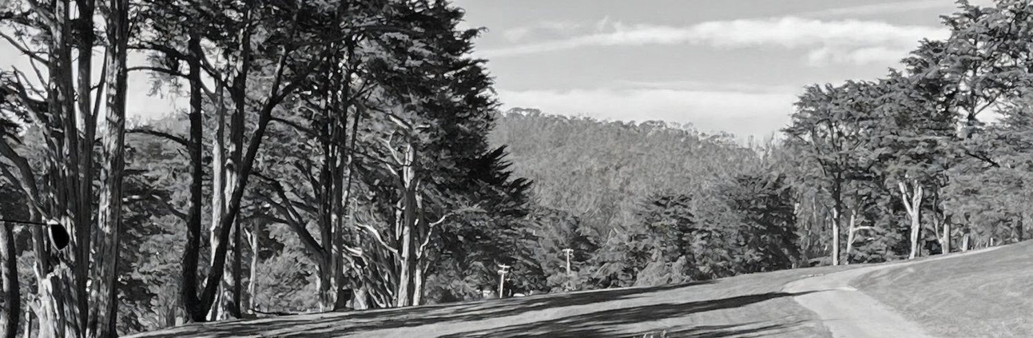 caseypokeefe's profile banner image