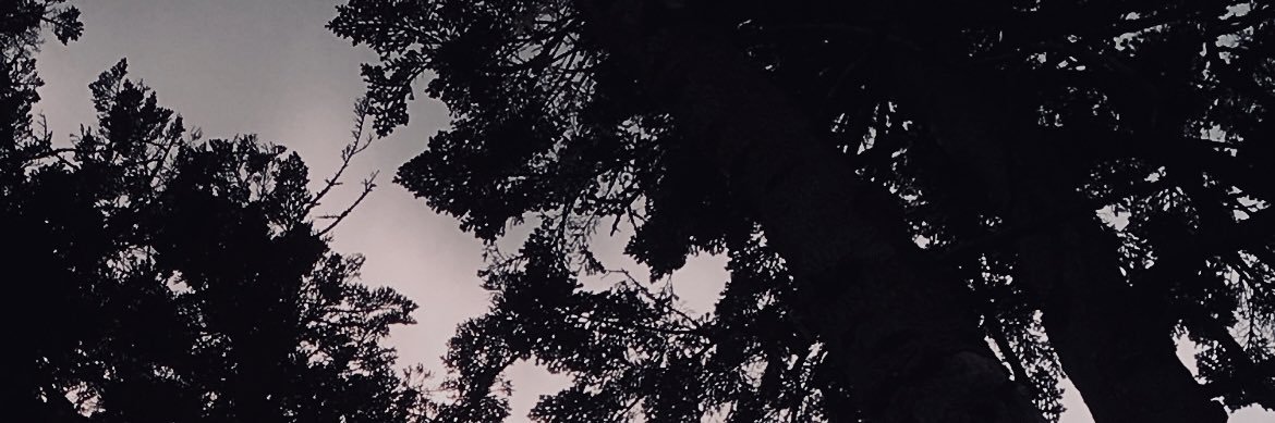 ificouldflyhs's profile banner image