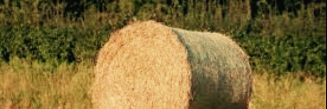 FostersLivery's profile banner image