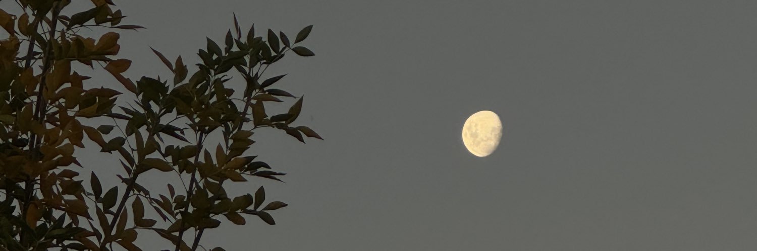 Candeebarberis's profile banner image