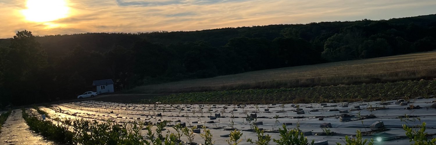 vdatylmz's profile banner image