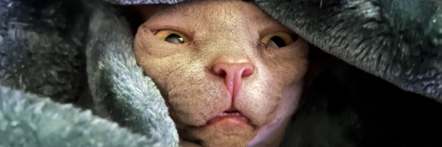 jmacrosoft's profile banner image
