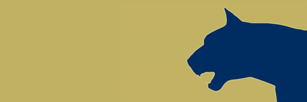 Lobito_Pitt's profile banner image