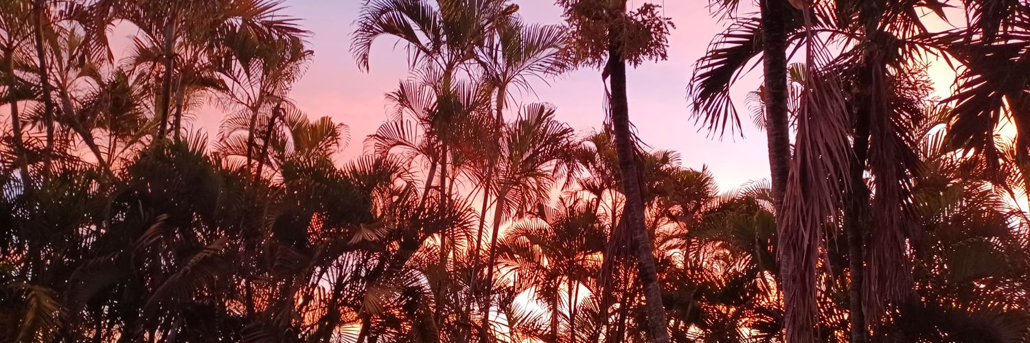 Nancy - 🐐 🏆 🐬⬆️ banner