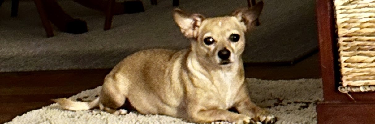 bethgetz's profile banner image