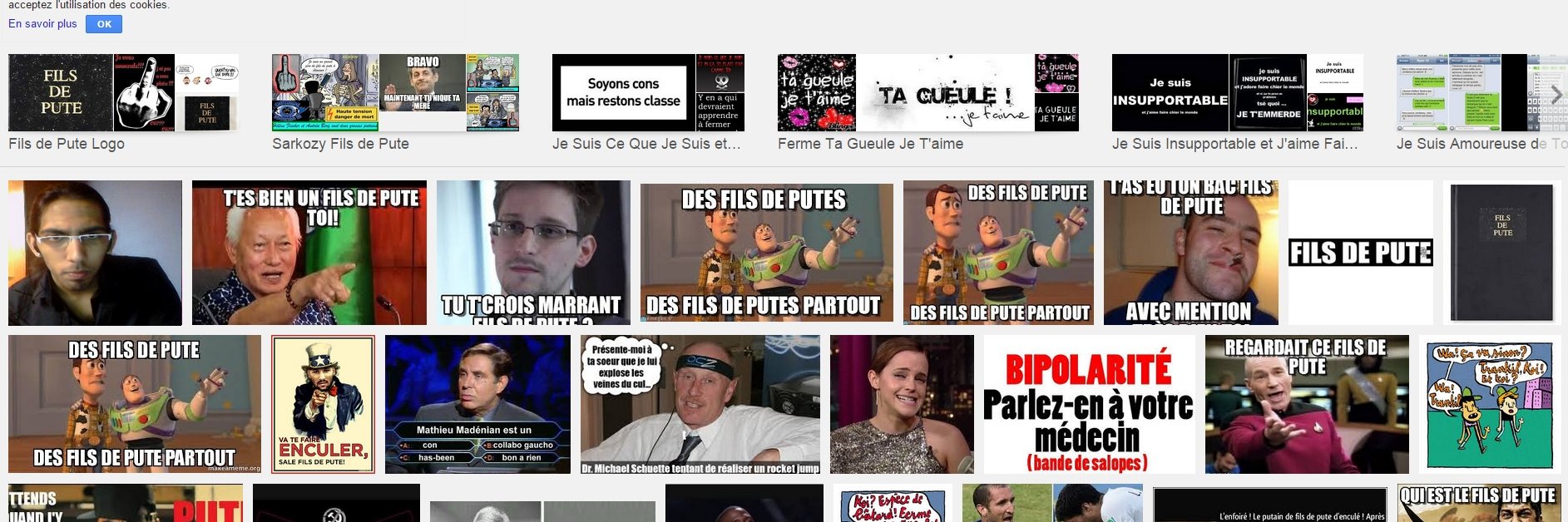 Falky banner