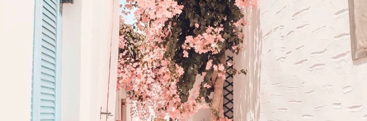 sevlfen's profile banner image
