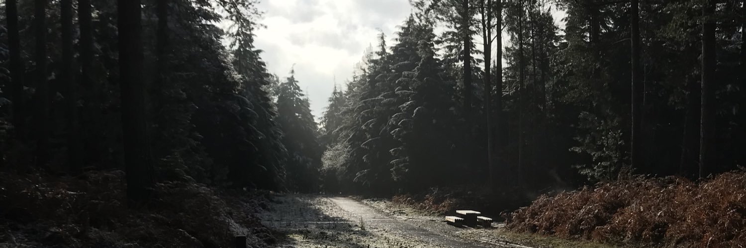 TomHopk1ns's profile banner image