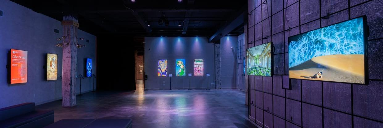 Yannick Folla | yfolla.eth banner