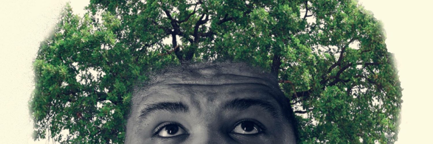 ThePandaSupreme banner