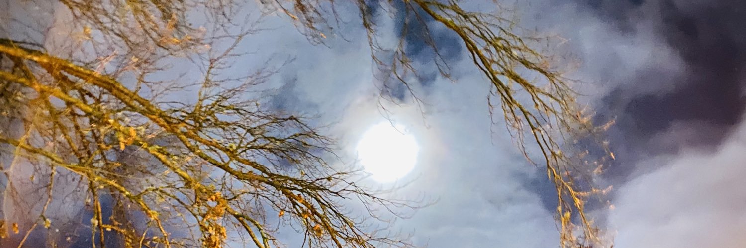 hodhab's profile banner image