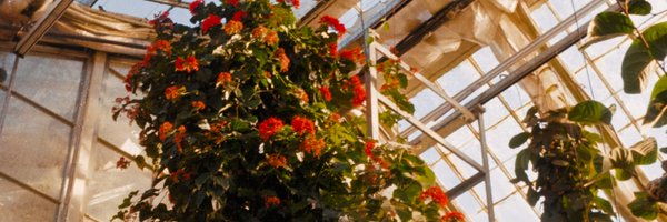 TheNaarek Profile Banner