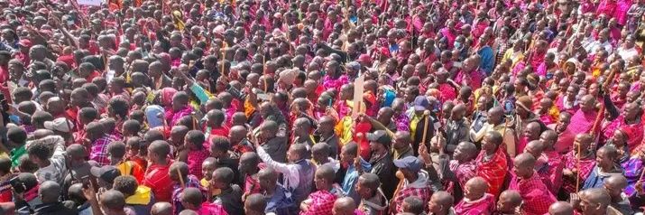 carola kinasha banner