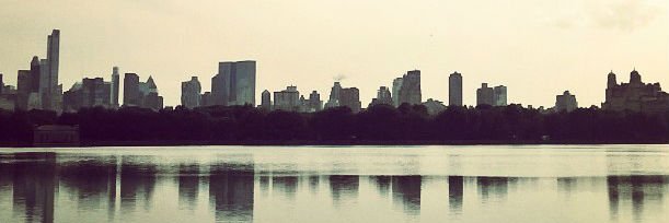 pelo_rocks's profile banner image