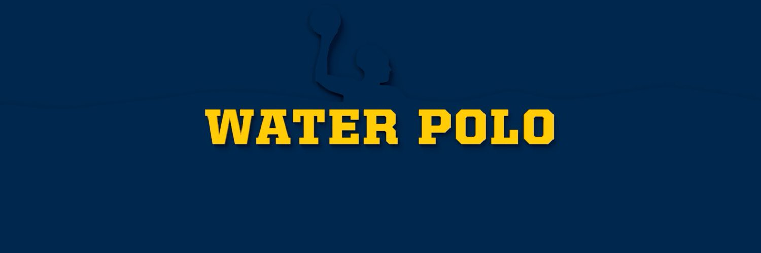 Michigan Water Polo Profile Banner