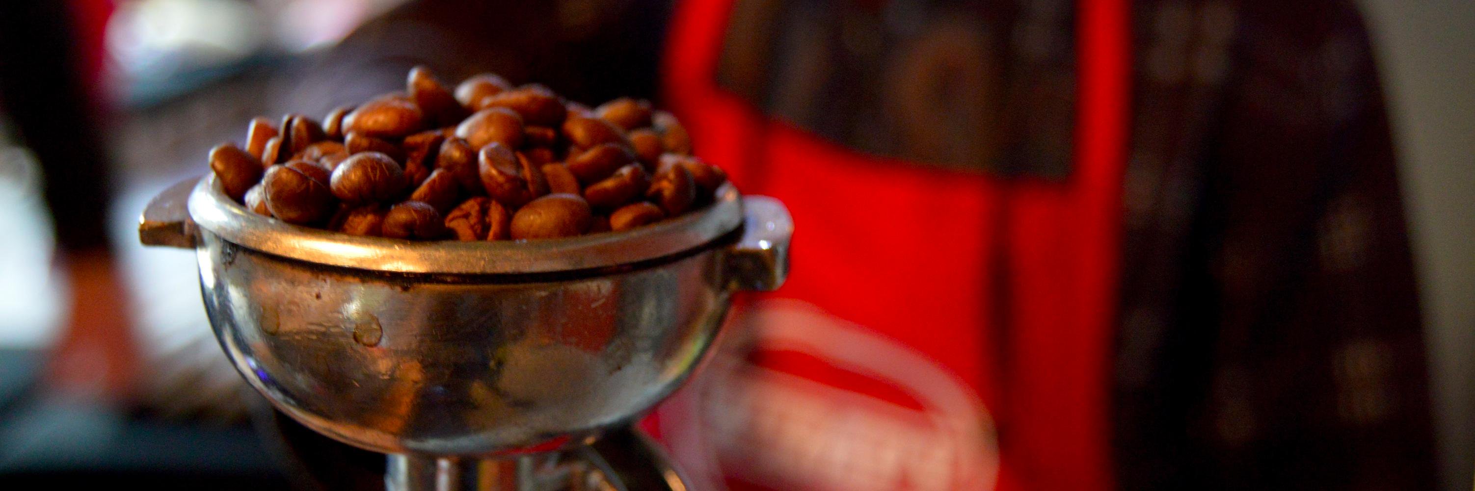 Leva Foundation banner