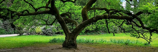 SKassid Profile Banner