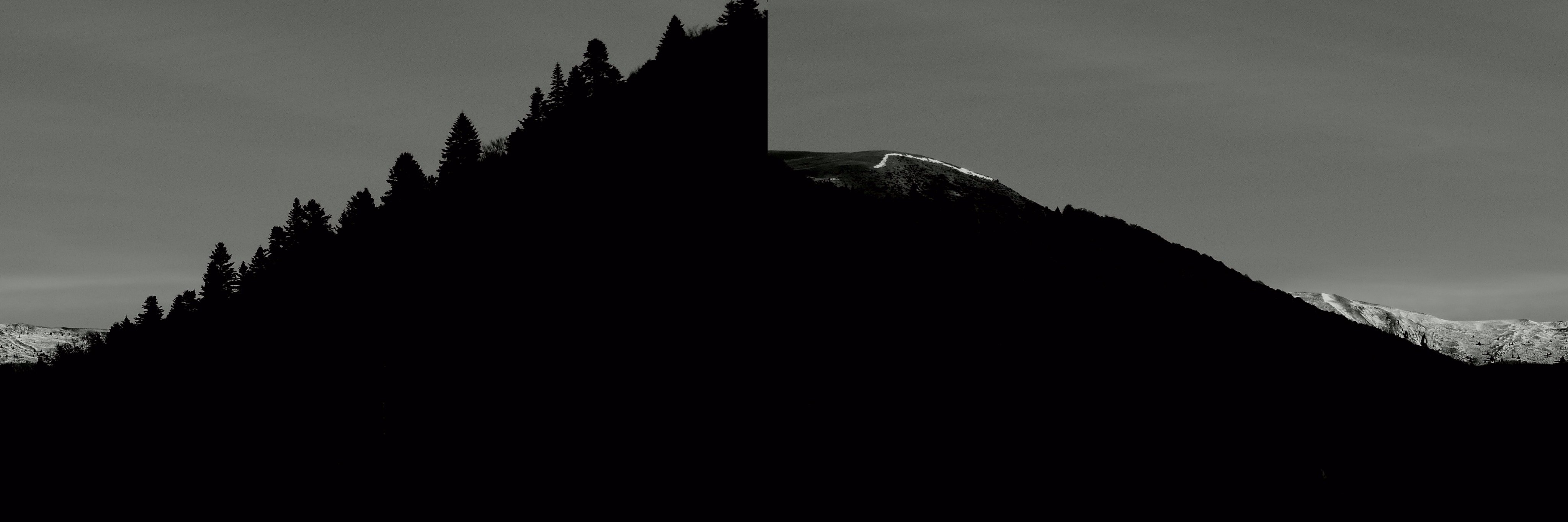 addapineapple's profile banner image