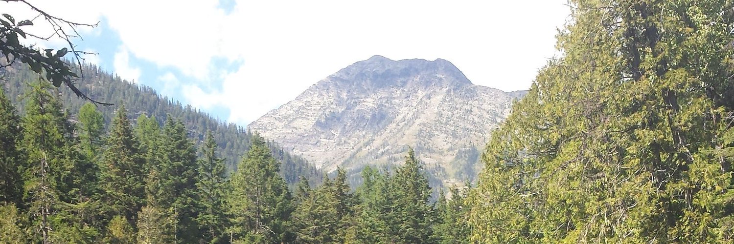 loganP9076's profile banner image