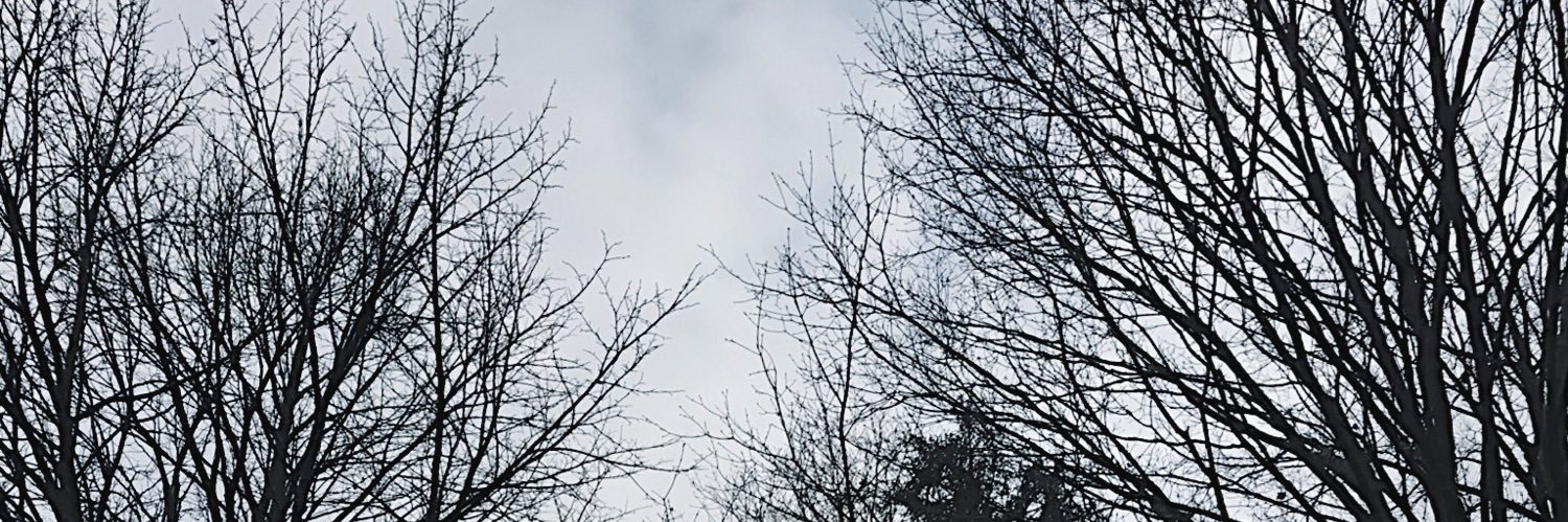 MackReardon's profile banner image