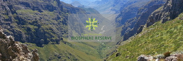 CWBR_ZA Profile Banner