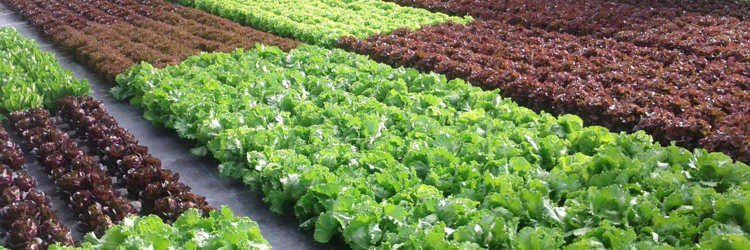 vpfarms's profile banner image