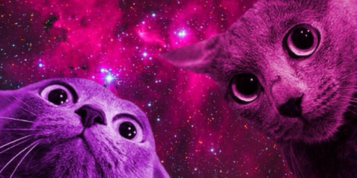 julianaltoe's profile banner image