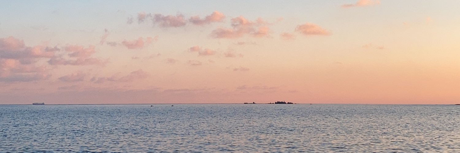 Laura Pous Trull banner