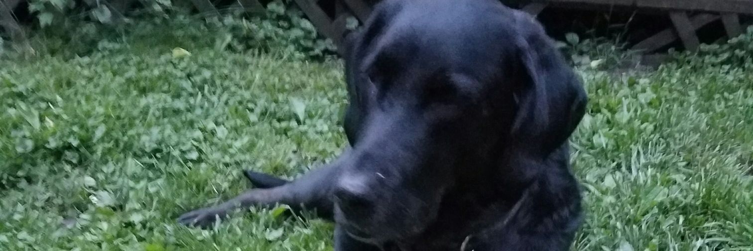 philpula's profile banner image