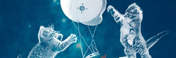 Cannelle Lavite banner