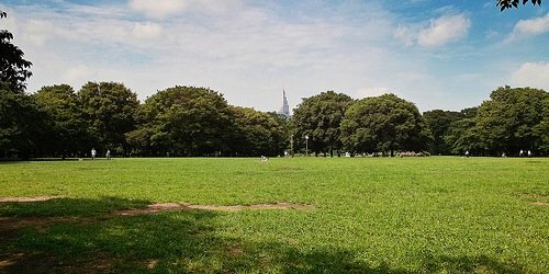 Mosquitoyoyogi's profile banner image