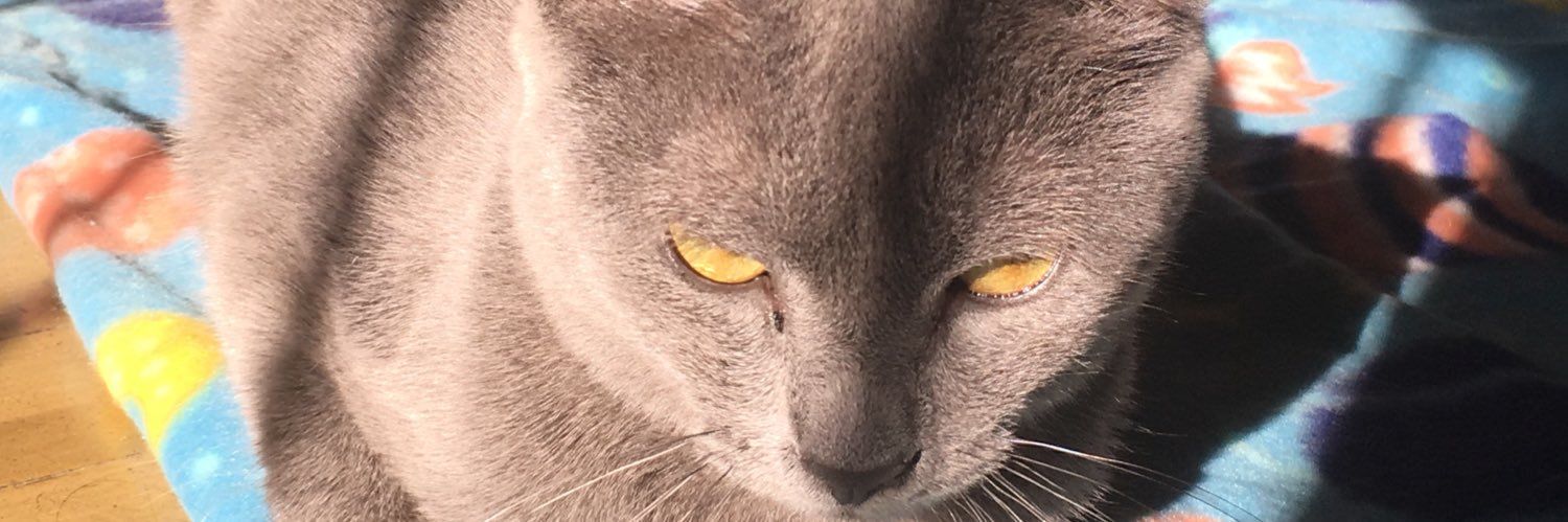 barbiisolange's profile banner image