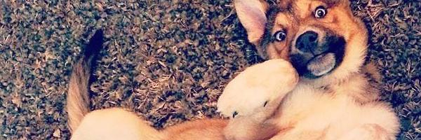 uxpriya Profile Banner