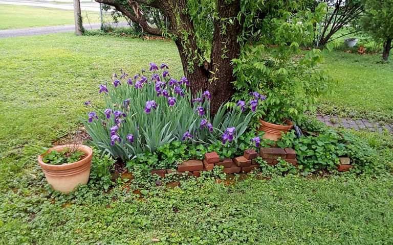 anne witkowski banner