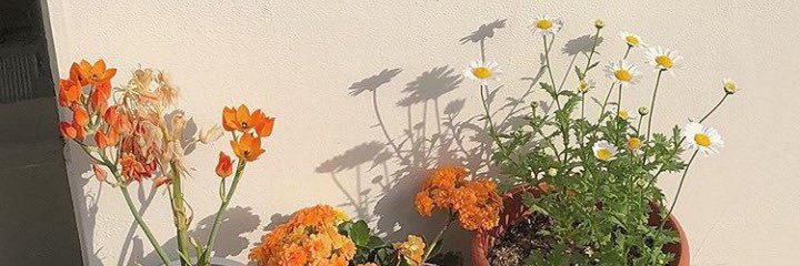 bubblewaa's profile banner image