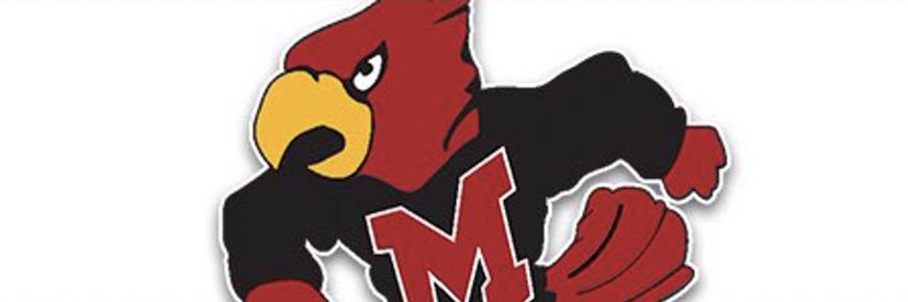 Beck Nitcholas banner