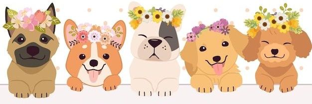 🇨🇦 Chelsea (Chels) ☝🏻⭕ banner