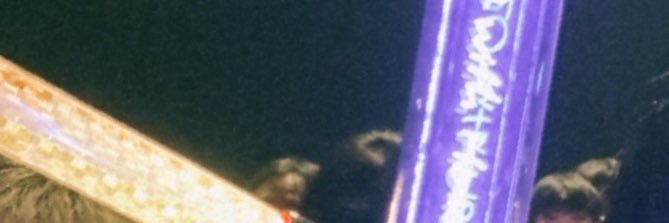 ぜん@チコハニ banner