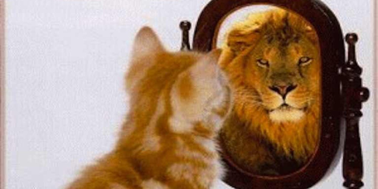 Chris McAllister banner