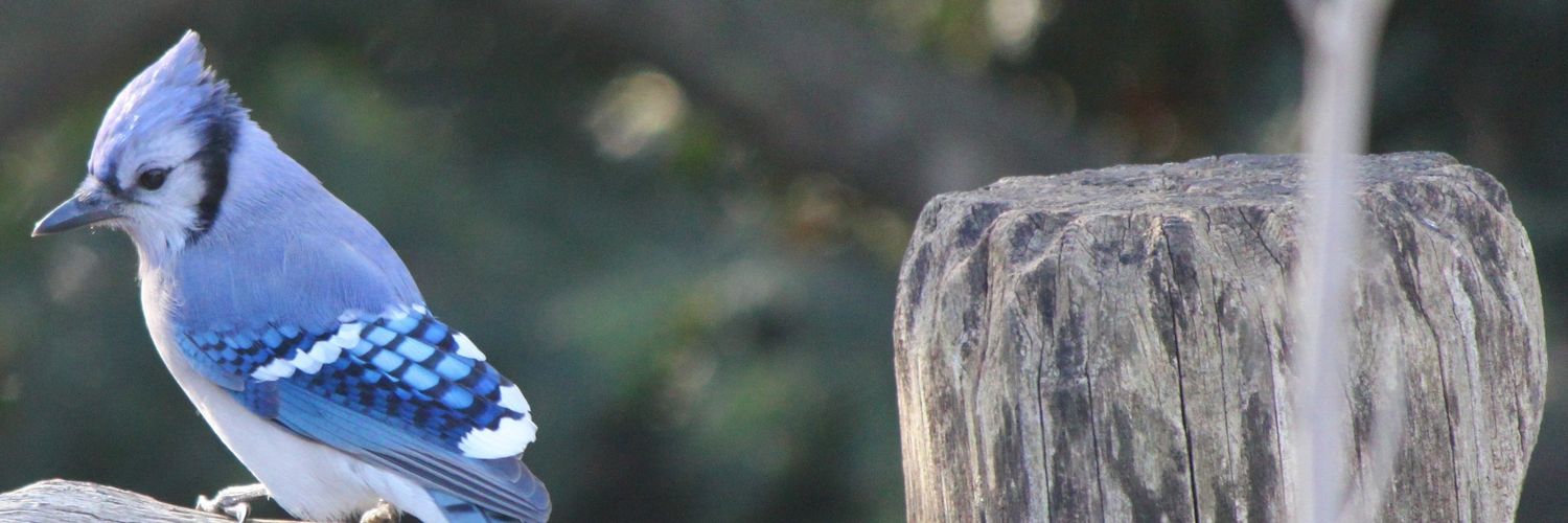 mgexposito's profile banner image