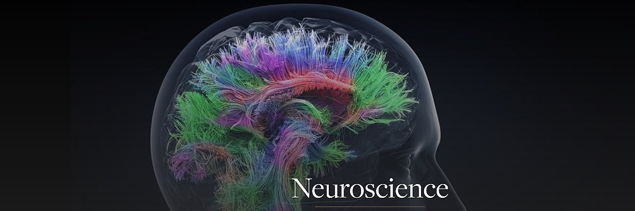 Neuroscience in Leeds banner