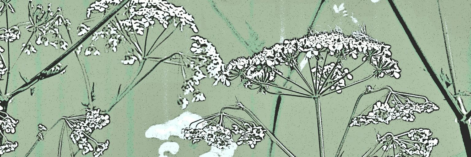 floatpressuk's profile banner image