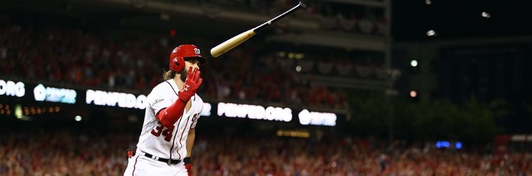 Michael Shepherd banner