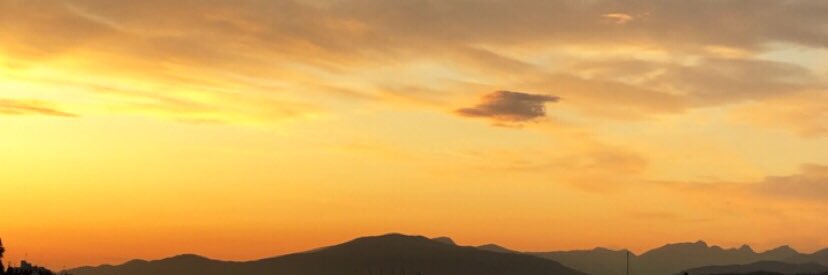 __natallica's profile banner image