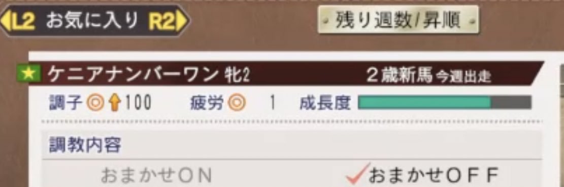 ケニアナンバー1 banner